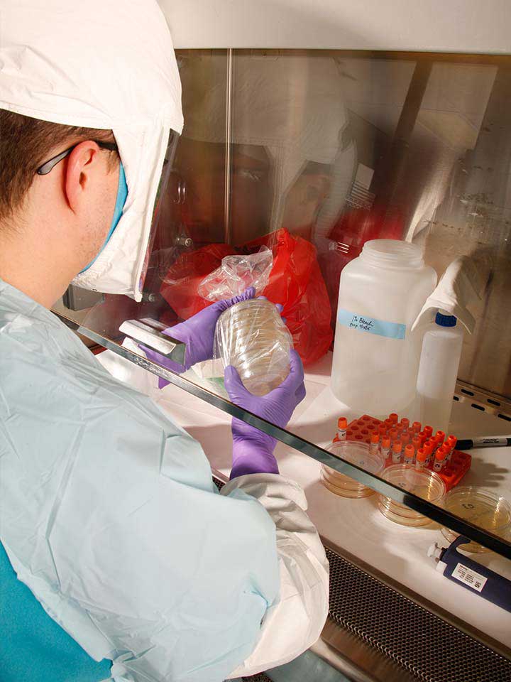 Photo: scientist analyzing samples at the Battelle Biomedical Research Center