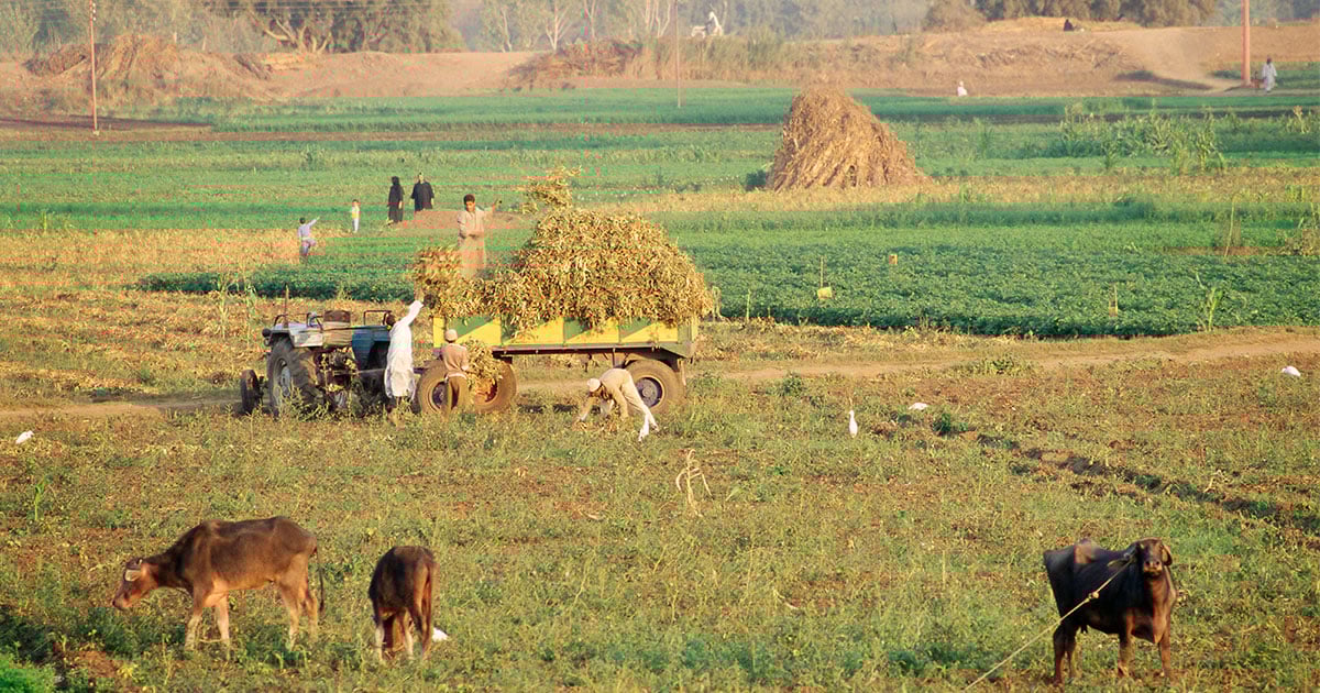 Egyptian Plant Protection Product Registration Battelle White Paper