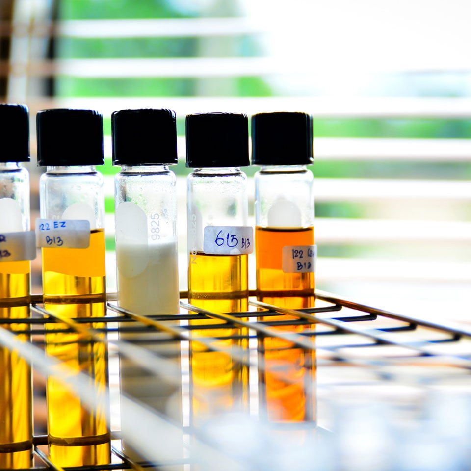 data-usage-callout Photo: Samples taken from ecosystem water