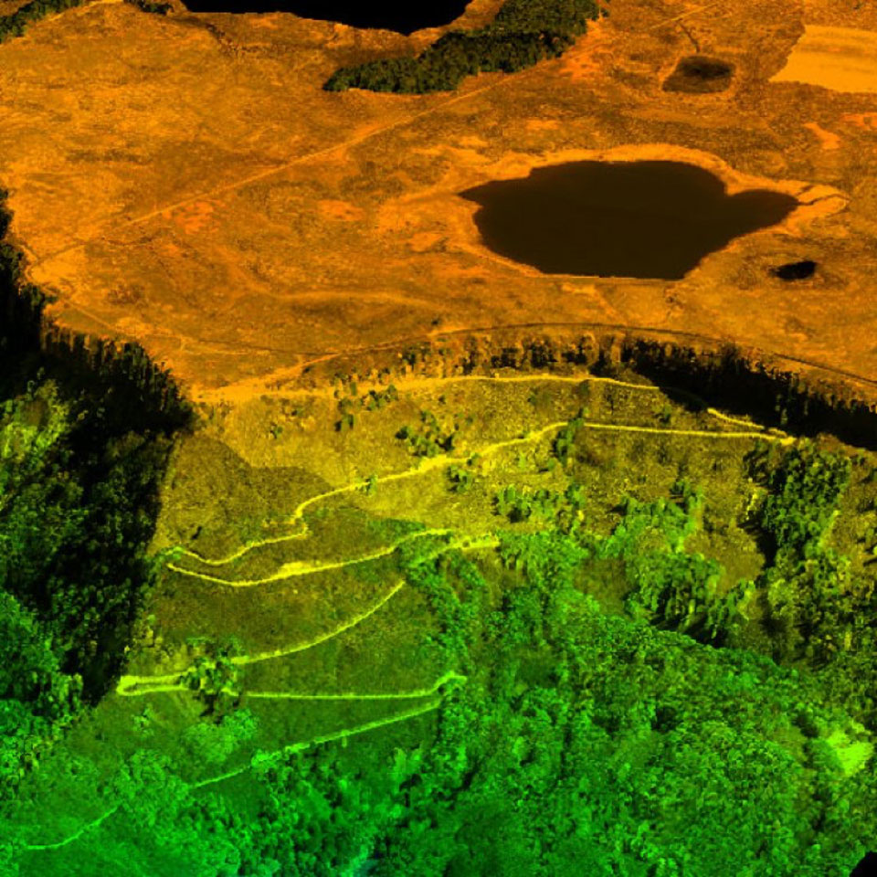 Photo: Thermal image resulting from NEON natural ecosystem research