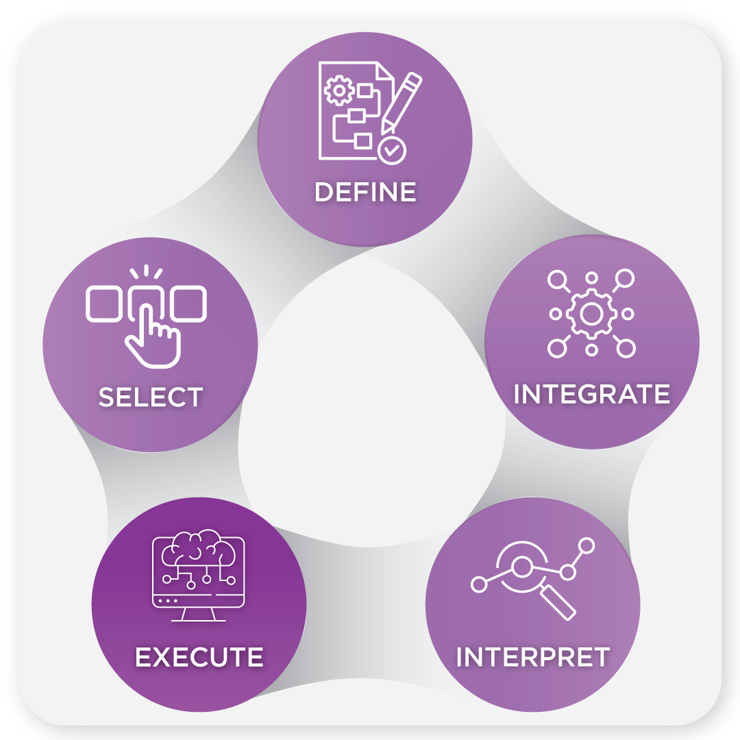 alt=NAMs-Process-EXECUTE graphic
