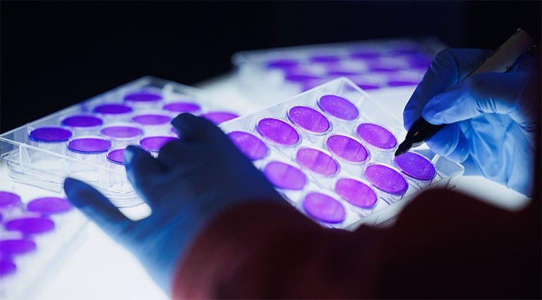 Image: Battelle microbiology expert examining samples of a highly infectious virus