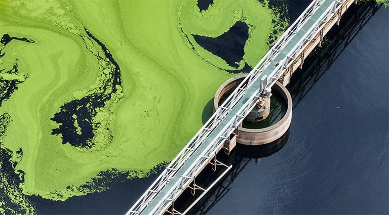Image: PFAS-contaminated wastewater at a treatment facility