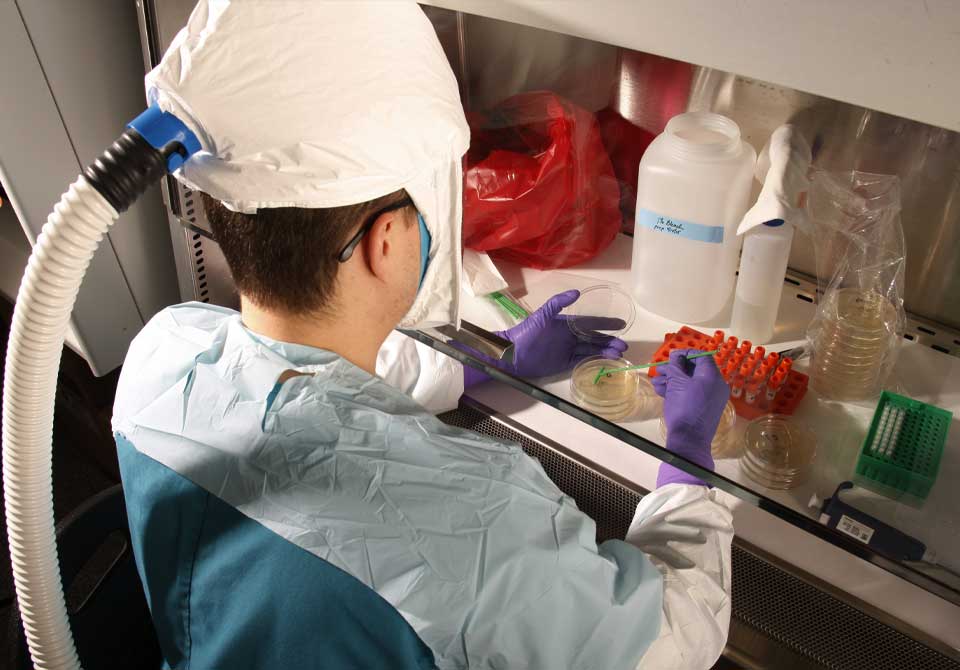 Photo: Scientists working at the Biomedical Research Center