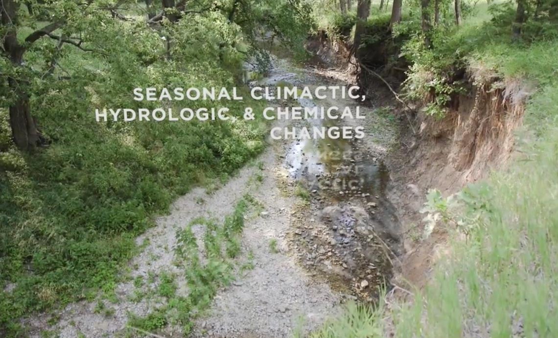 NEON Aquatic Data at Battelle Photo: river aquatic ecological site