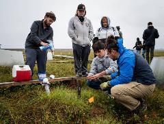 Photo: Students are helped by scientists to collect samples from tussocks.