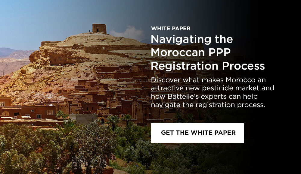 Navigating the Moroccan PPP Registration Process: Get the white paper