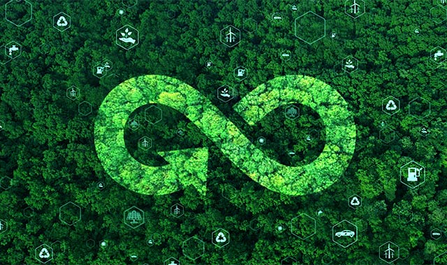 Photo: birdseye view of a forest full of trees with a circular economy symbol in the middle of it