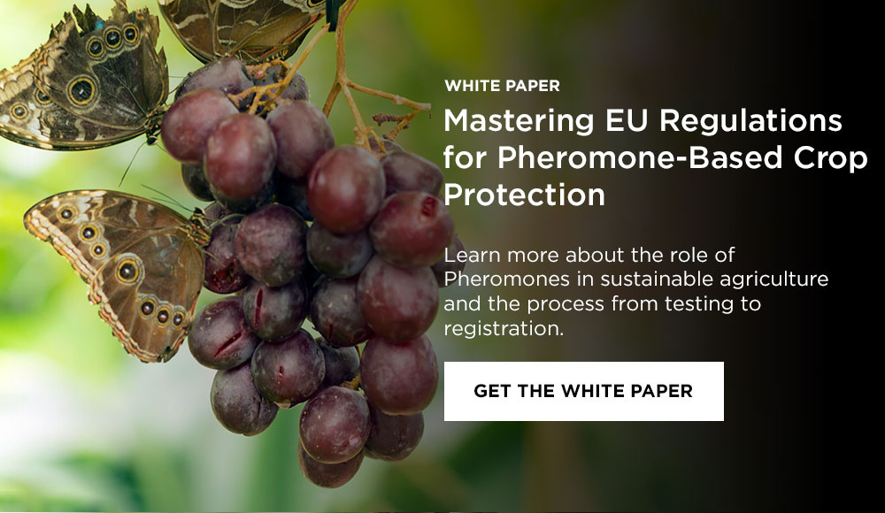 White Paper: Navigating the Challenges of Pheromone Product Safety Testing